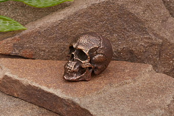 Бусина на темляк «Череп» Т5