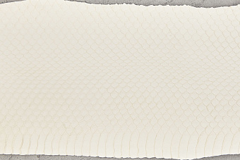 Кожа змеи 780х100мм (белая матовая)