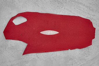 Кожа ската 210х110мм (красная)