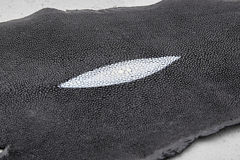 Кожа ската 240х150мм (черная)