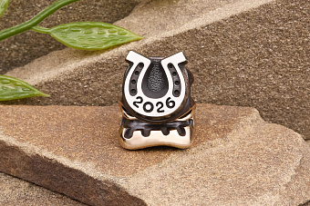 Бусина для темляка Счастливчик 2026 (биметалл) от мастерской Братьев Пешковых