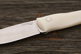 Нож туристический Beaver knife РХ-Pointer Magnum, клинок 110мм, сталь Х12МФ