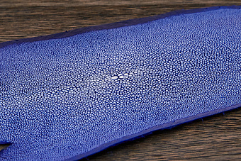 Шкурка ската, 240×110мм (синяя)