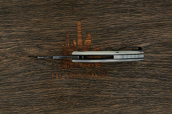 Нож складной Bestech Lizard, клинок 65мм, сталь D2, рукоять G10