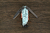 Мультитул Leatherman Signal Aqua (19 функций) - фото №2