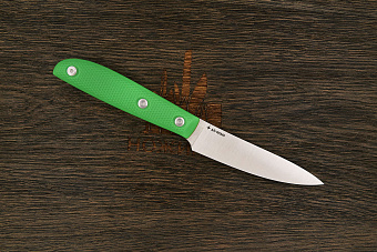 Нож кухонный MOYO Геликон овощной 105мм, сталь AR-RPM9, рукоять G10-extra зеленый