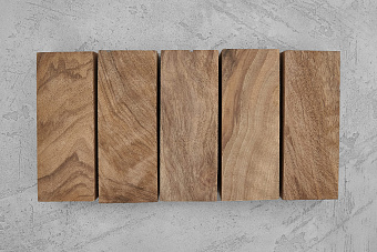 Орех (Juglans), корень. Текстура-I (витая)