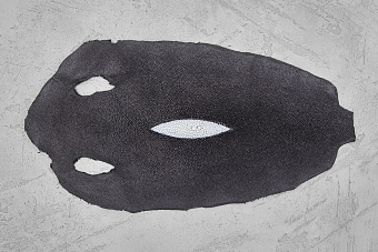 Кожа ската 215х150мм (черно-серая)