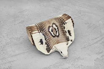 Шкурка змеи с головой 1000×80-100мм (коричневая глянцевая)