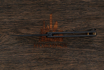 Складной нож We Knife Primoris, сталь CPM-20CV, рукоять титан