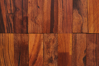 Аризонское железное дерево (Ironwood) ствол (I сорт)