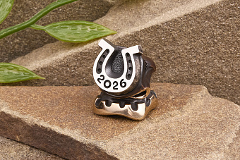 Бусина для темляка Счастливчик 2026 (биметалл) от мастерской Братьев Пешковых