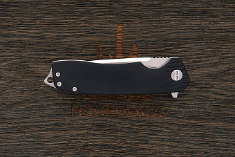 Нож складной Bestech Lion, клинок 88мм, сталь D2, рукоять G10