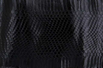 Шкурка змеи с головой, 1150×120мм (черная глянцевая)