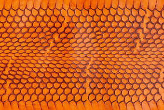 Шкурка змеи с головой, 940×100мм (оранжевая глянцевая)