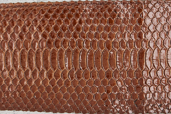 Кожа змеи 1000×60-80мм (коричневая с чёрным глянцевая)