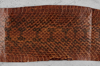 Кожа змеи 900х70-90мм (коричневая глянцевая)