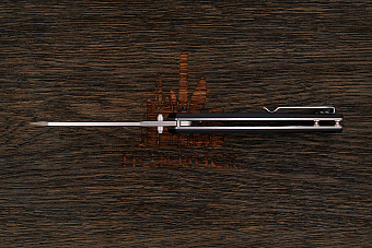 Складной нож Brachyptera